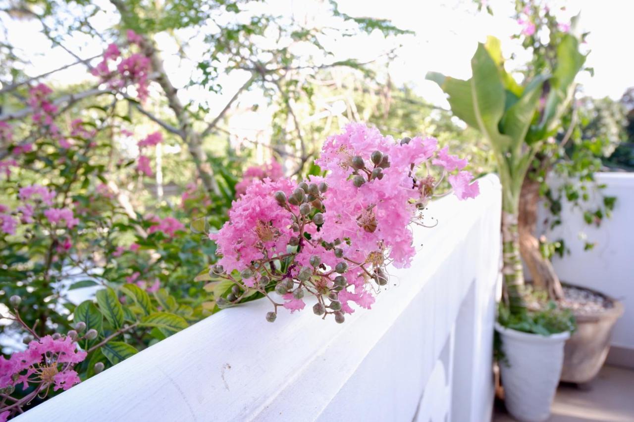 Minh Phat Homestay Hoi An Dış mekan fotoğraf