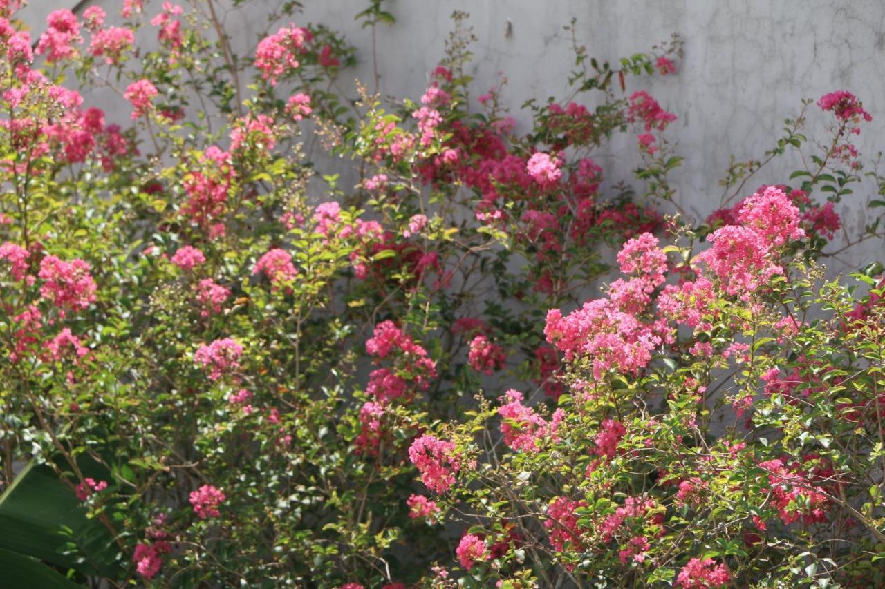 Minh Phat Homestay Hoi An Dış mekan fotoğraf
